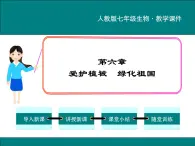 3.6 爱护植被，绿化祖国 PPT教学课件