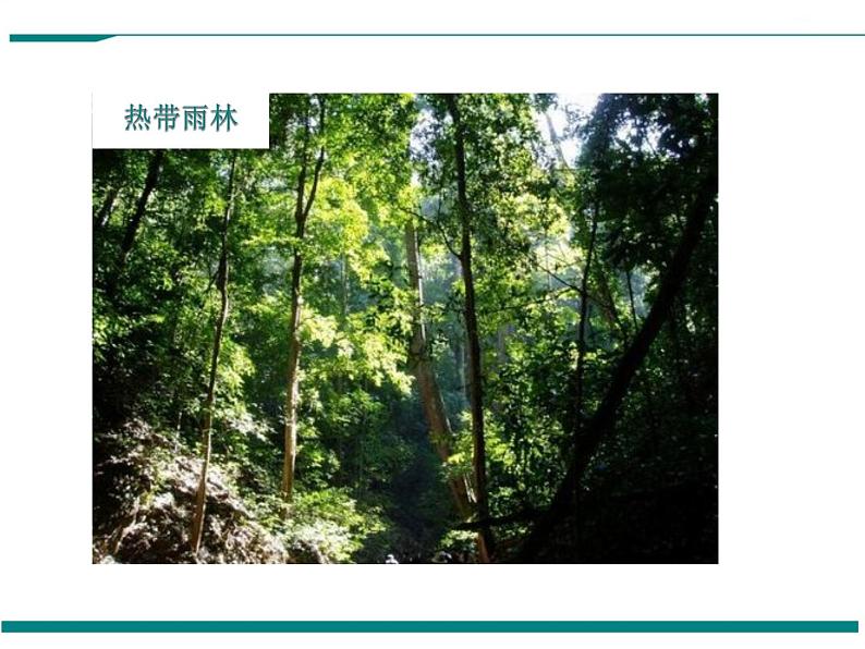 3.6 爱护植被,绿化祖国 PPT教学课件06