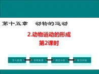 15.2 动物运动的方式 （第2课时）+课件