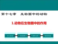 17.1 动物在生物圈中的作用+课件