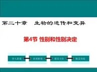 20.4 性别和性别决定+课件