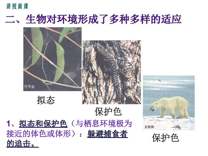 1.1.2 生物与环境的相互影响+课件08