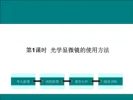 2.3.1.2  光学显微镜的使用方法+课件