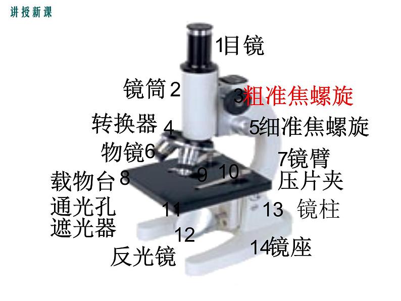 2.3.1.2 光学显微镜的使用方法+课件04