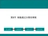 2.3.3  细胞通过分裂而增殖+课件