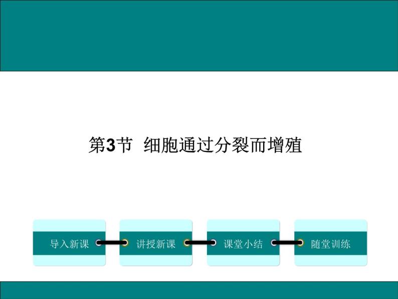 2.3.3  细胞通过分裂而增殖+课件01