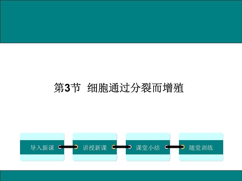 2.3.3 细胞通过分裂而增殖+课件01