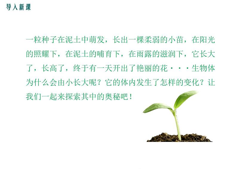 2.3.3 细胞通过分裂而增殖+课件02