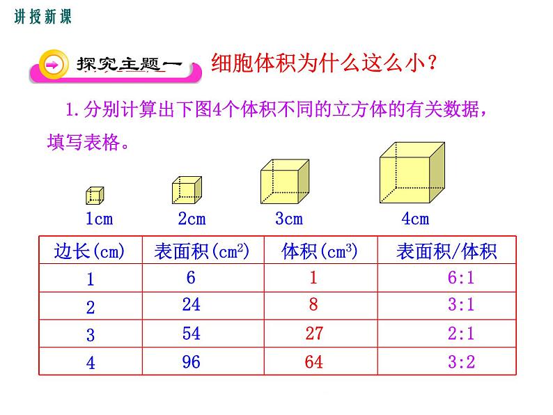 2.3.3 细胞通过分裂而增殖+课件04