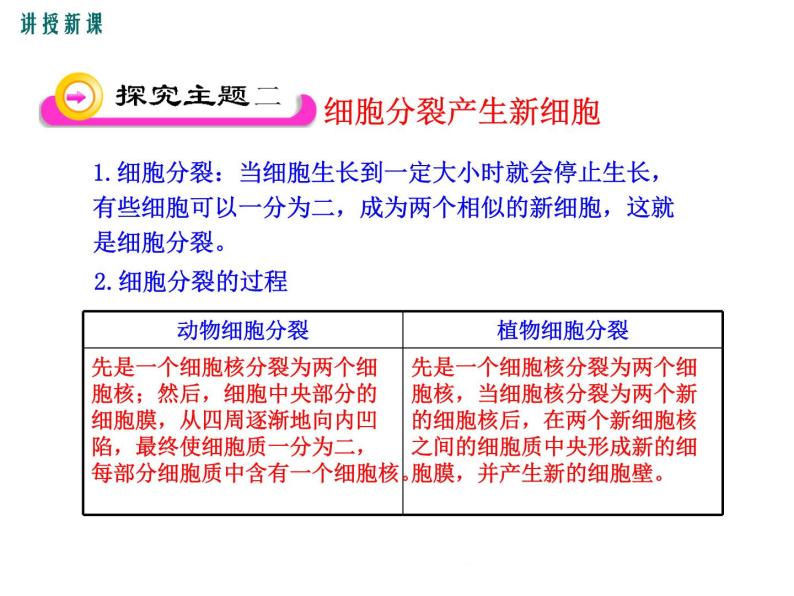 2.3.3  细胞通过分裂而增殖+课件06