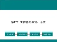 2.4.2  生物体的器官、系统+课件