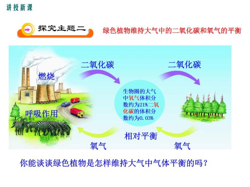 3.7  绿色植物与生物圈+课件06