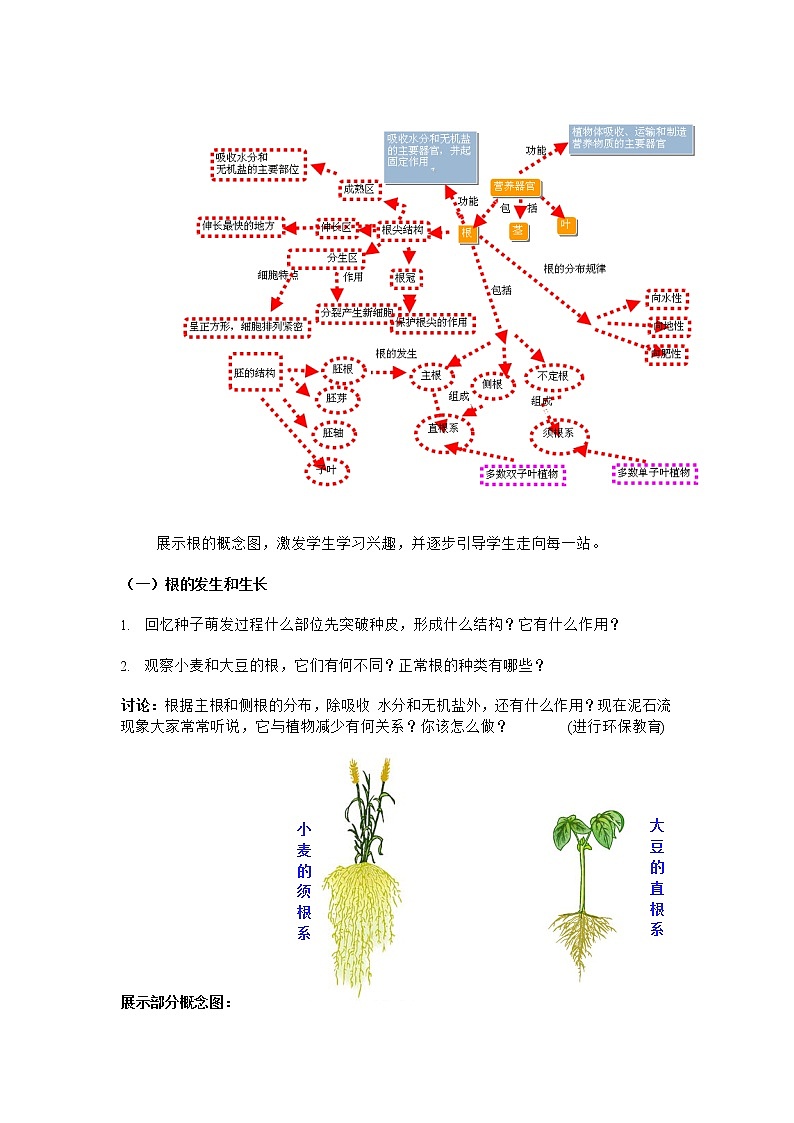 3.6.2 营养器官的生长+教案02