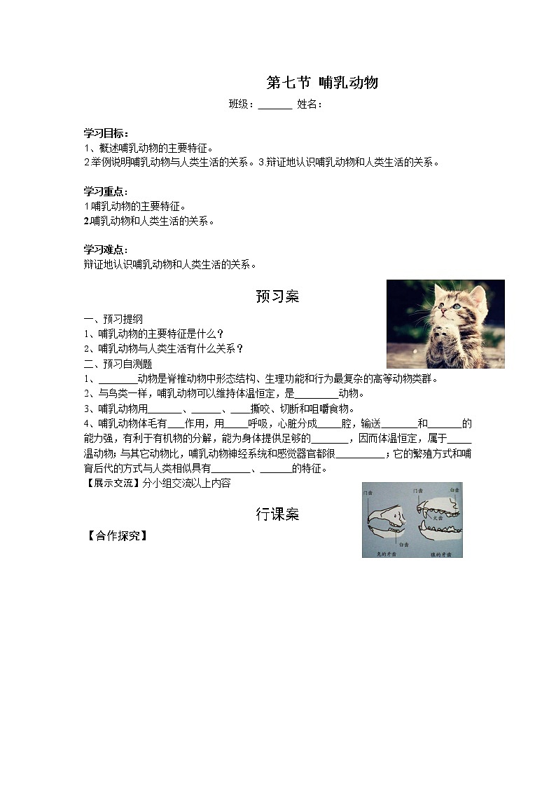 5.1.7 哺乳动物+学案01