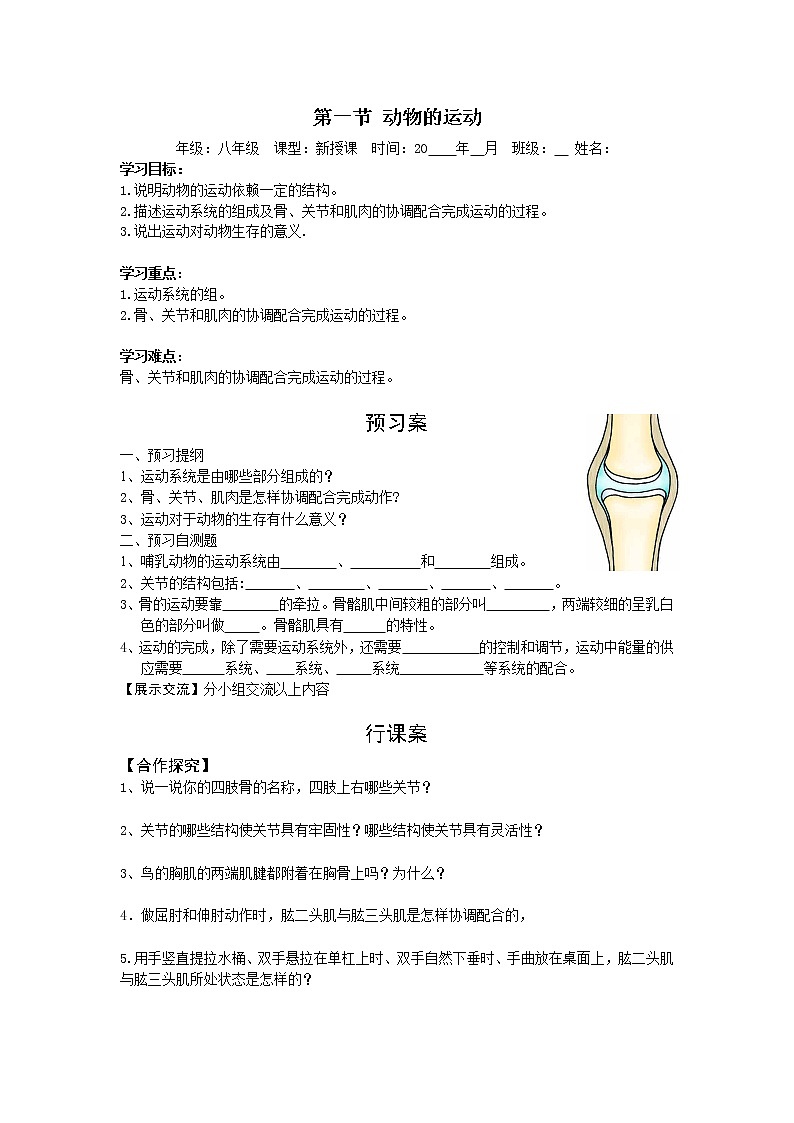 5.2.1  动物的运动+学案01