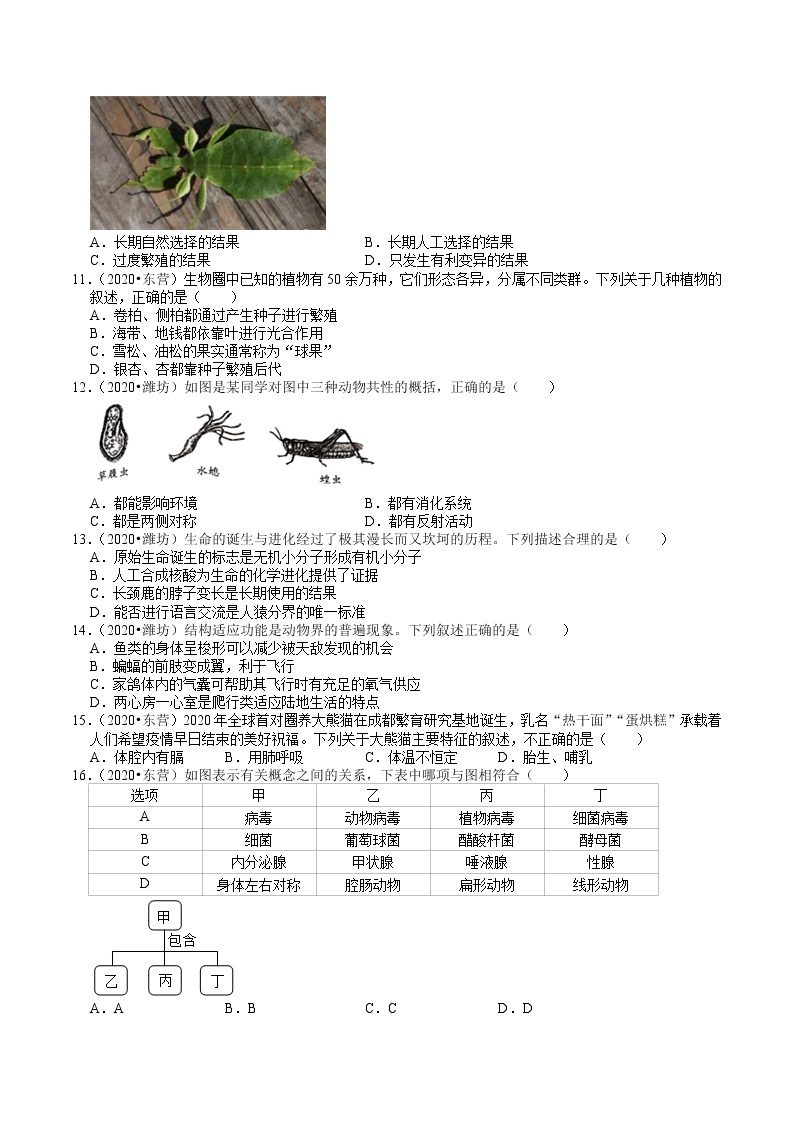 山东省2018-2020年近三年中考生物试题分类（7）——生物的多样性（含解析）02