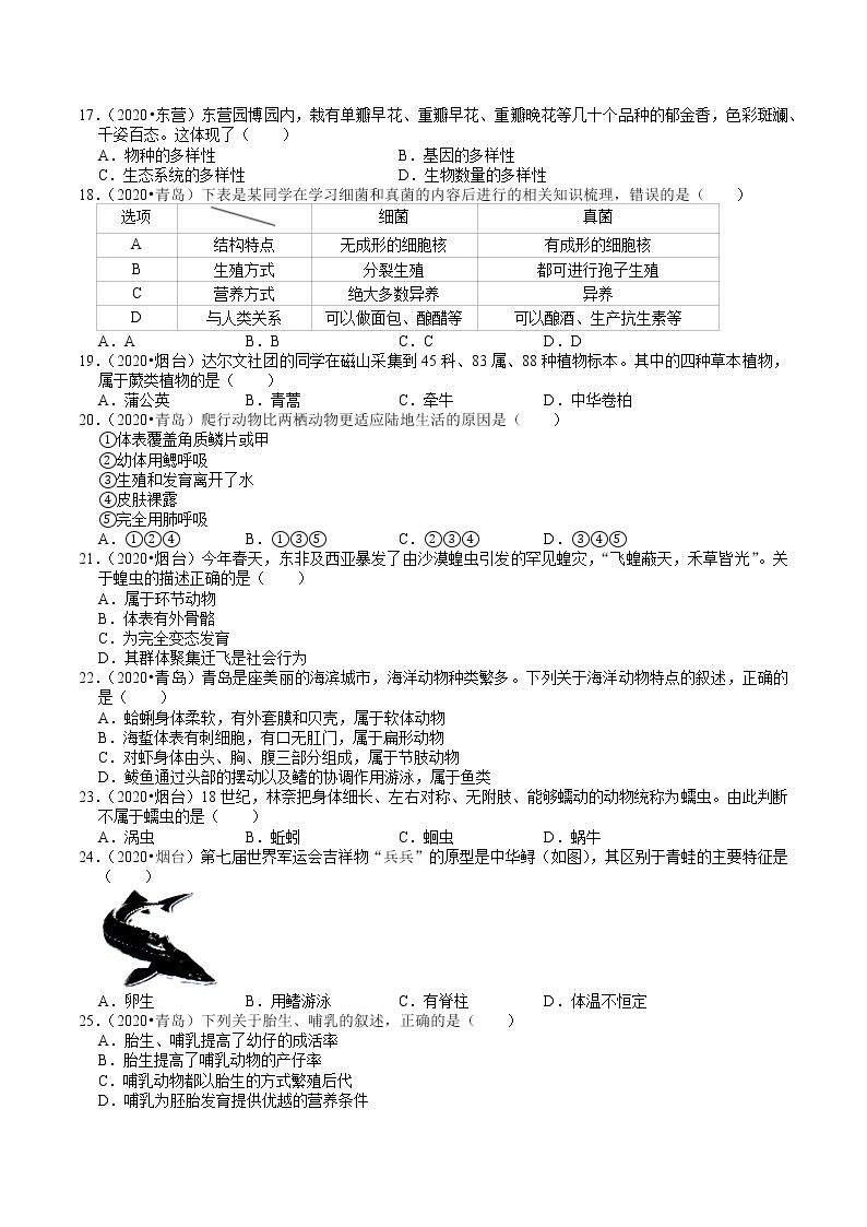 山东省2018-2020年近三年中考生物试题分类（7）——生物的多样性（含解析）03