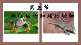 初中生物第五节 两栖动物和爬行动物教课内容ppt课件