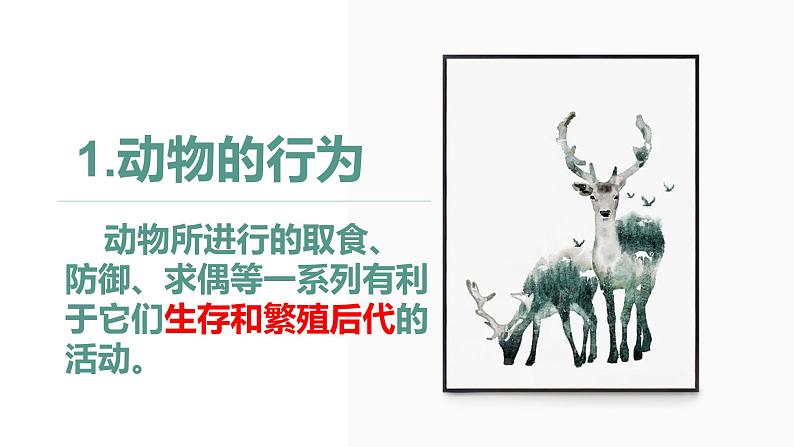 5.2.2 先天性行为和学习行为 课件 人教版八年级上册生物(23张ppt)02