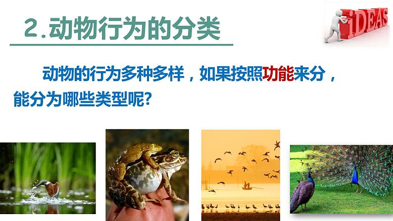 5.2.2 先天性行为和学习行为 课件 人教版八年级上册生物(23张ppt)03