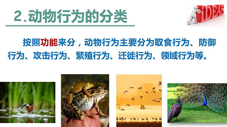 5.2.2 先天性行为和学习行为 课件 人教版八年级上册生物(23张ppt)04