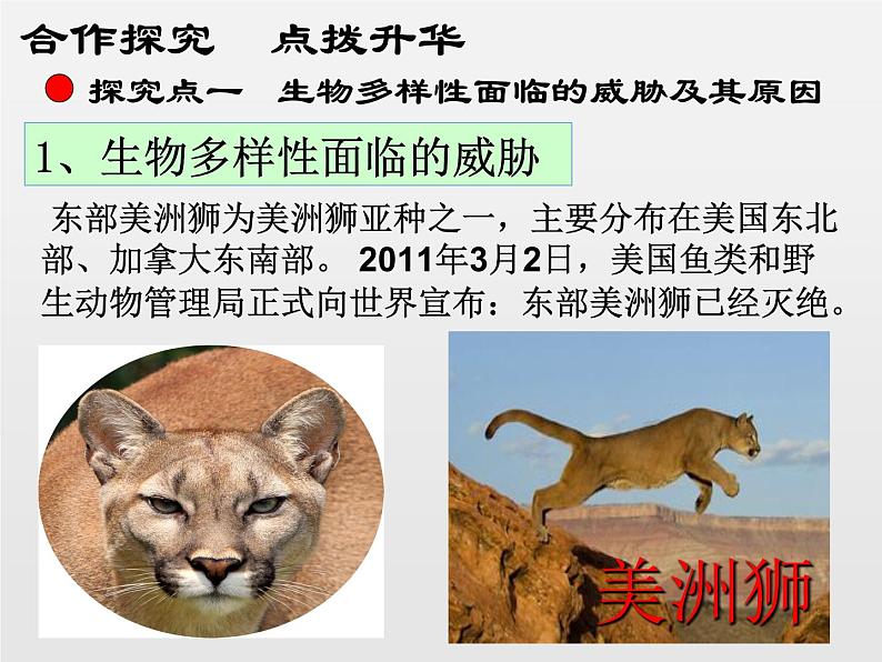 6.3保护生物的多样性新课课件(38张ppt)第5页