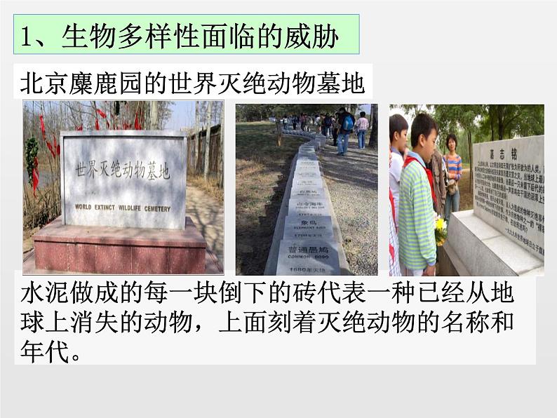 6.3保护生物的多样性新课课件(38张ppt)第6页