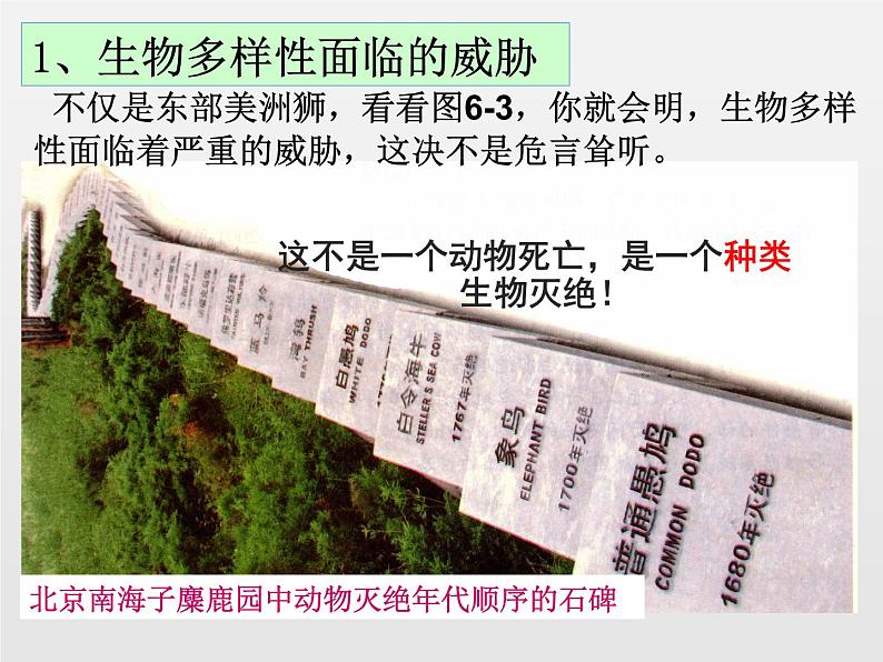 6.3保护生物的多样性新课课件(38张ppt)第7页