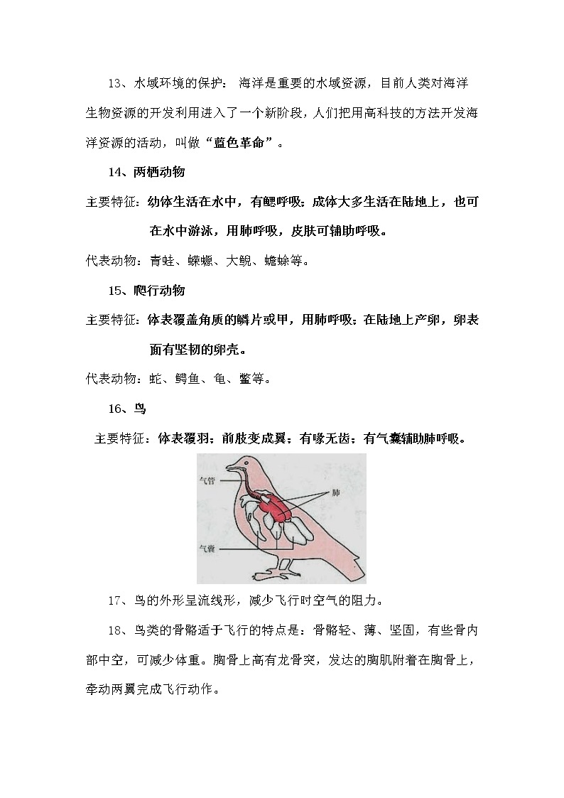 人教版八年级上册生物复习提纲03