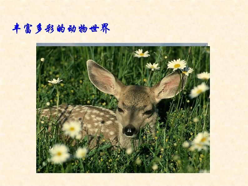 第五单元第三章 动物在生物圈中的作用 课件01