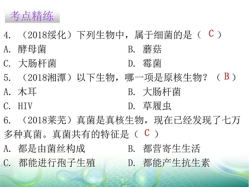 第五单元 第4章 章末总结 课件06