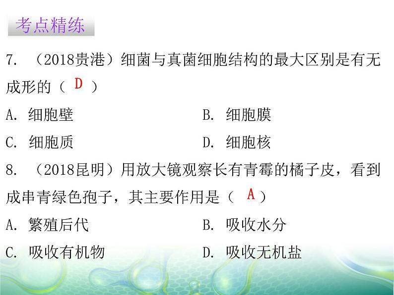第五单元 第4章 章末总结 课件07