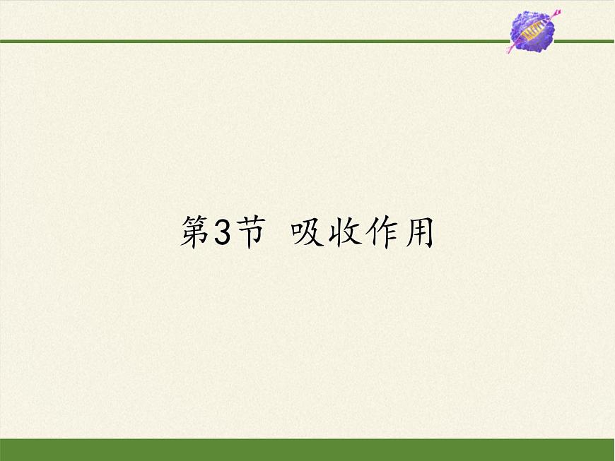 北師大版初中生物七年級上冊 3.5.3 吸收作用 課件第1頁