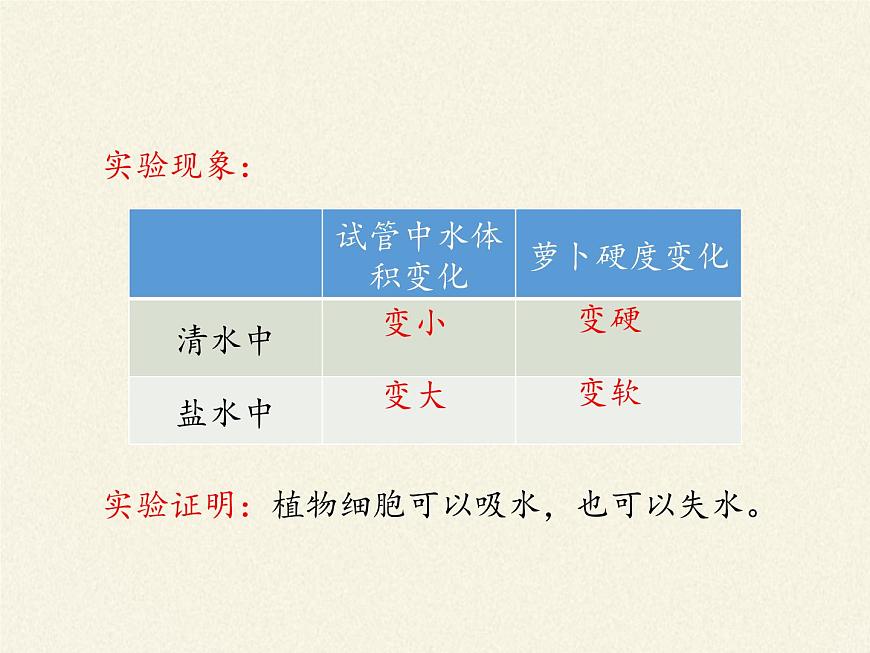 北師大版初中生物七年級上冊 3.5.3 吸收作用 課件第4頁
