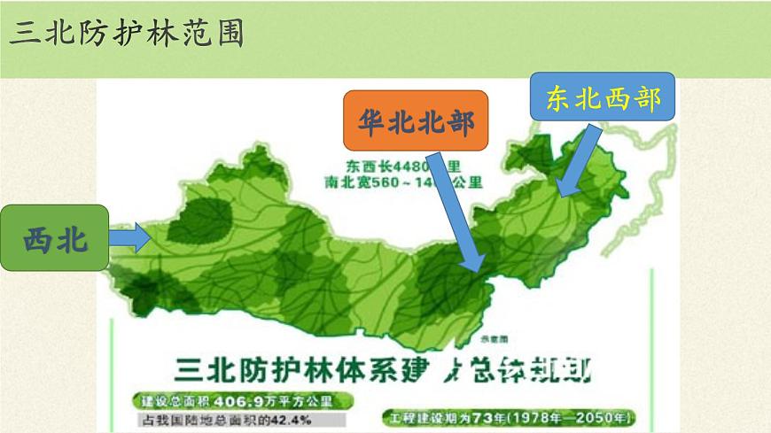 北師大版初中生物七年級(jí)上冊(cè) 3.7.3 我國(guó)的綠色生態(tài)工程 課件第6頁(yè)