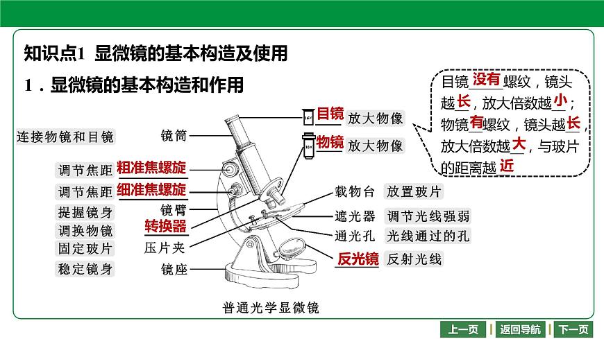 人教版2021年中考一輪復(fù)習(xí)生物課件 第二單元 第一章　細(xì)胞是生命活動(dòng)的基本單位第4頁(yè)