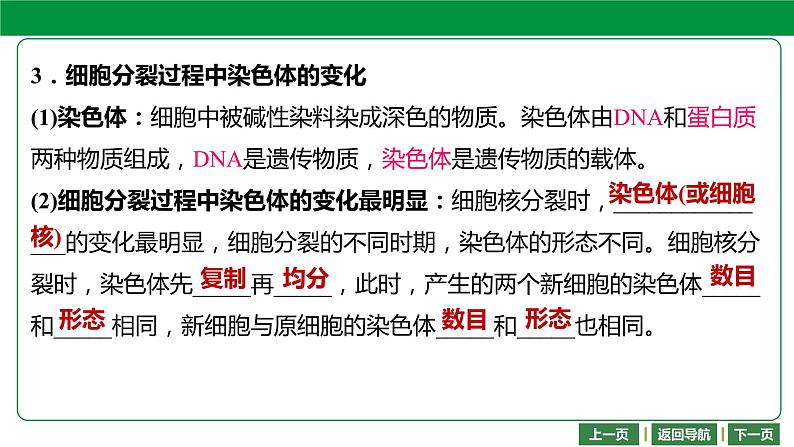 人教版2021年中考一轮复习生物课件 第二单元 第二章 细胞怎样构成生物体 (共71张PPT)06
