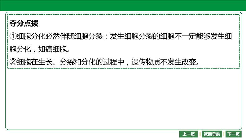 人教版2021年中考一轮复习生物课件 第二单元 第二章 细胞怎样构成生物体 (共71张PPT)07