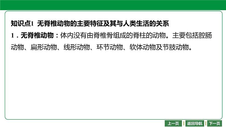 人教版2021年中考一轮复习生物 第五单元 第一章 动物的主要类群 课件04