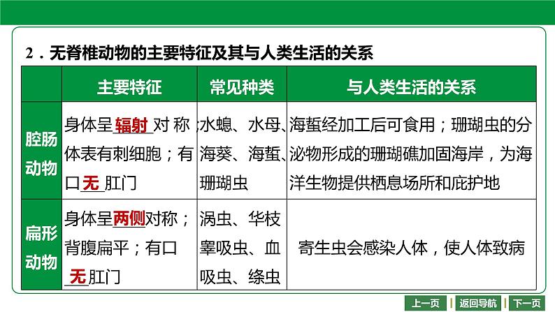 人教版2021年中考一轮复习生物 第五单元 第一章 动物的主要类群 课件05