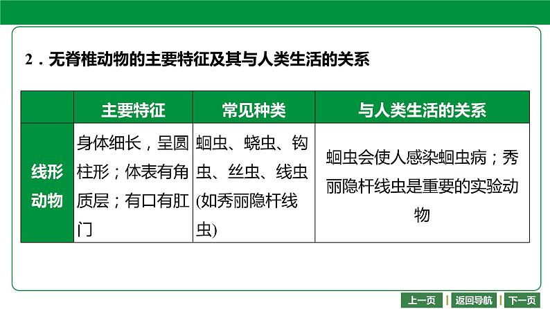人教版2021年中考一轮复习生物 第五单元 第一章 动物的主要类群 课件06