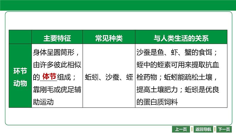 人教版2021年中考一轮复习生物 第五单元 第一章 动物的主要类群 课件07