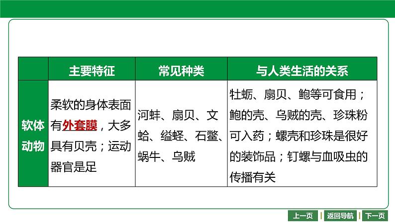 人教版2021年中考一轮复习生物 第五单元 第一章 动物的主要类群 课件08