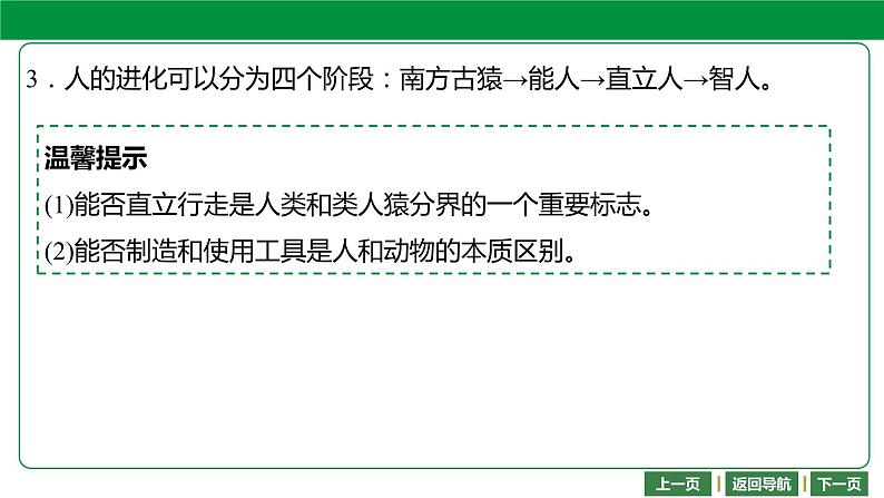 人教版2021年中考一轮复习生物 第四单元 第一章 人的由来 课件04