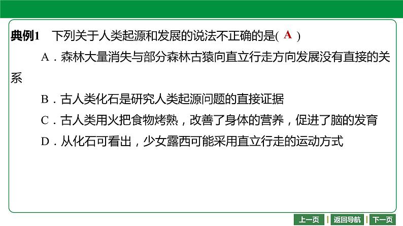 人教版2021年中考一轮复习生物 第四单元 第一章 人的由来 课件05