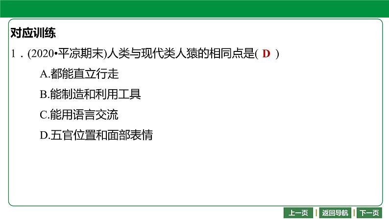 人教版2021年中考一轮复习生物 第四单元 第一章 人的由来 课件06