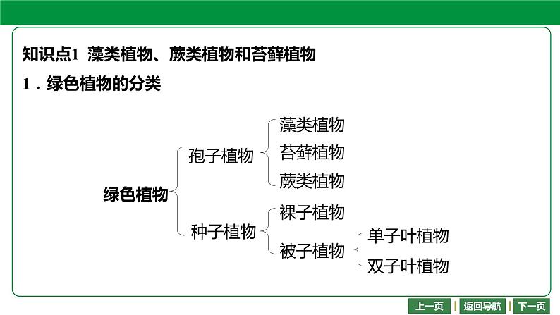 人教版2021年中考一轮复习生物 第三单元 第一章 生物圈中有哪些绿色植物 课件04