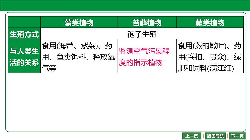 人教版2021年中考一轮复习生物 第三单元 第一章 生物圈中有哪些绿色植物 课件06