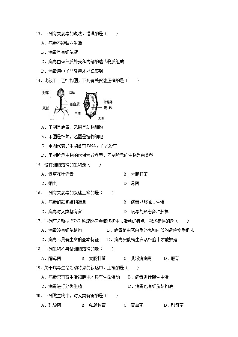 人教版生物八年级上册《第五单元 第五章 病毒》测试卷（解析版）03