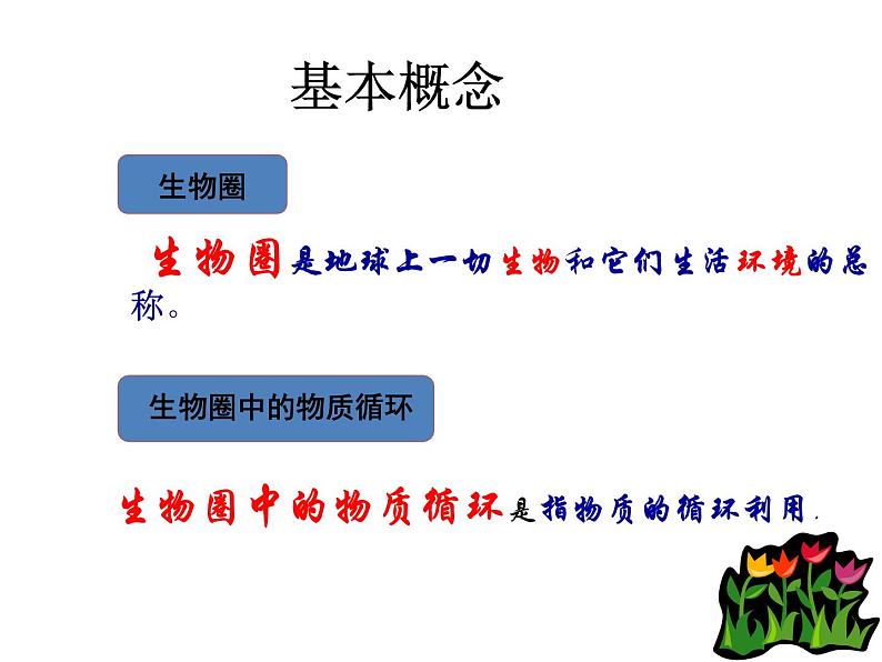 苏教版生物七年级上册课件:3.7.2绿色植物与生物圈的物质循环(共23张PPT)02